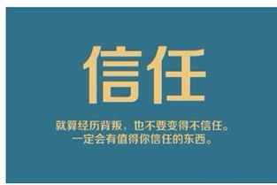 薇薇朵最強(qiáng)戰(zhàn)隊(duì)紫芳強(qiáng)勢(shì)招代理 攜手共創(chuàng)互聯(lián)網(wǎng)數(shù)據(jù)服務(wù)新篇章